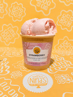 Nina's Ice Cream Pints